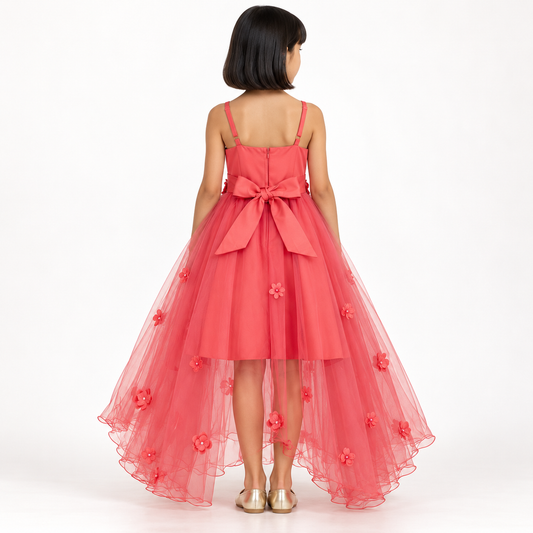T238.CORAL.B